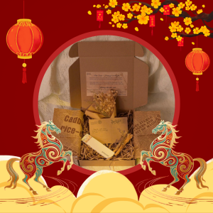 20/10 Gift Set – First Look